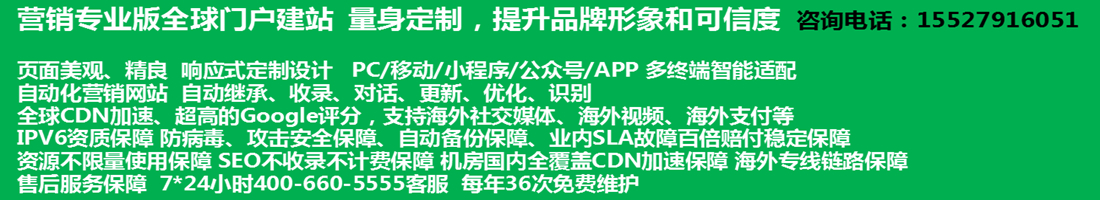 网站建设 全球门户 专业网站制作