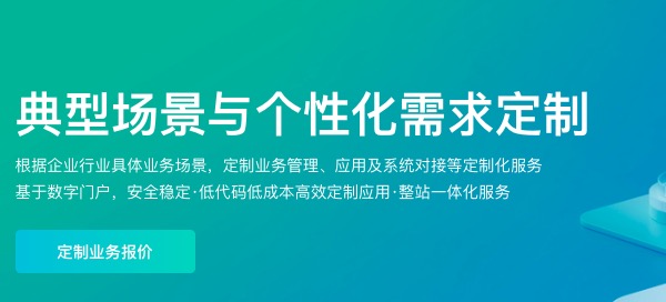 典型场景与个性化需求定制